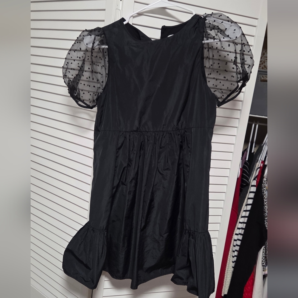 Zara Black Dress with Sheer Polka Dot Sleeves